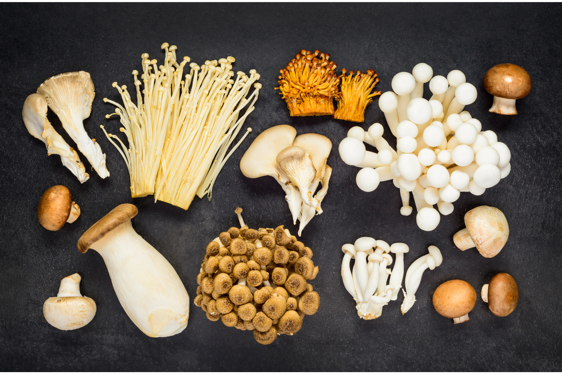 A diverse selection of mushroom supplements displayed on a wooden table, representing the various health benefits and uses discussed in the blog post.