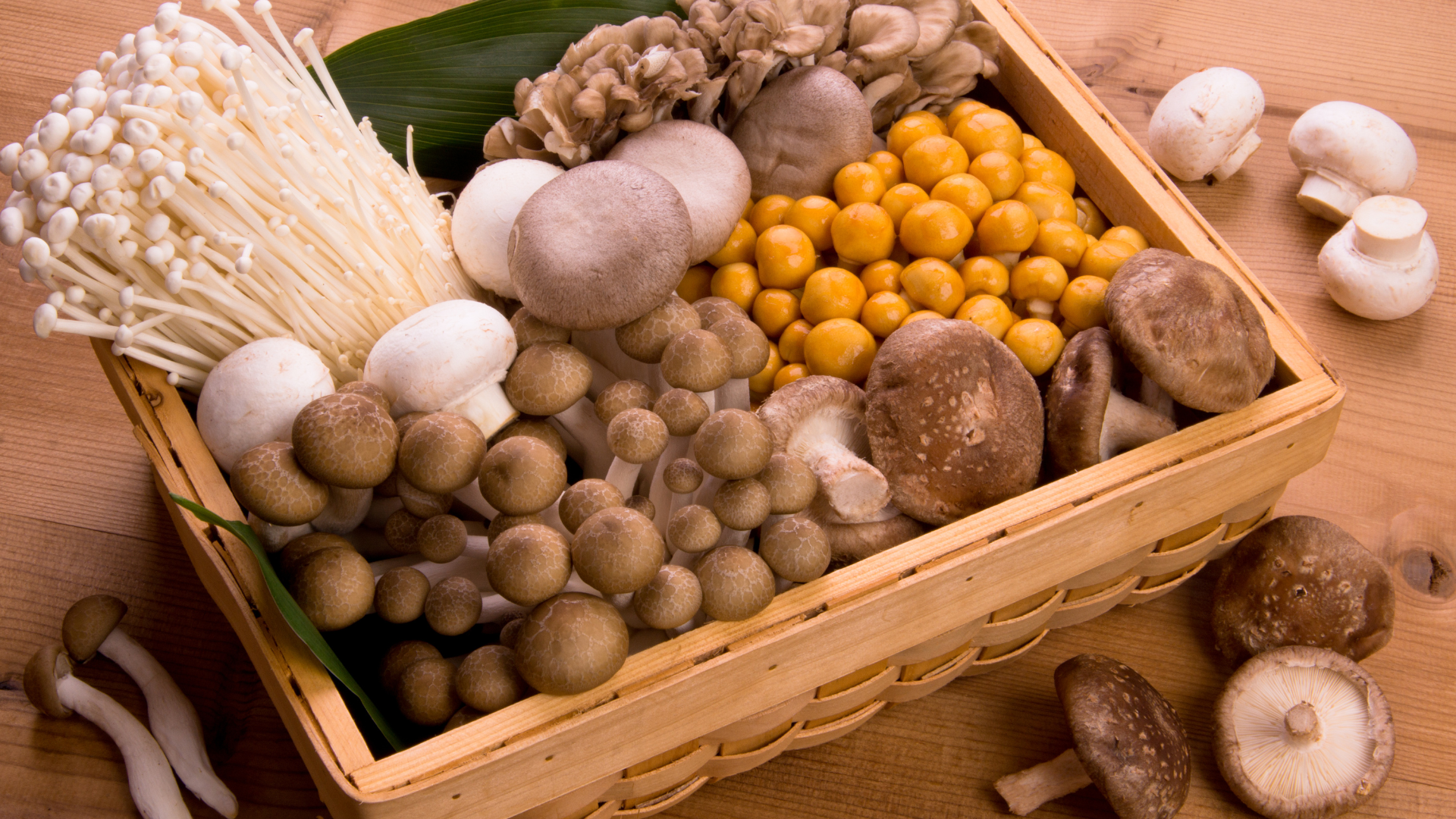 : A variety of mushrooms displayed on a platter